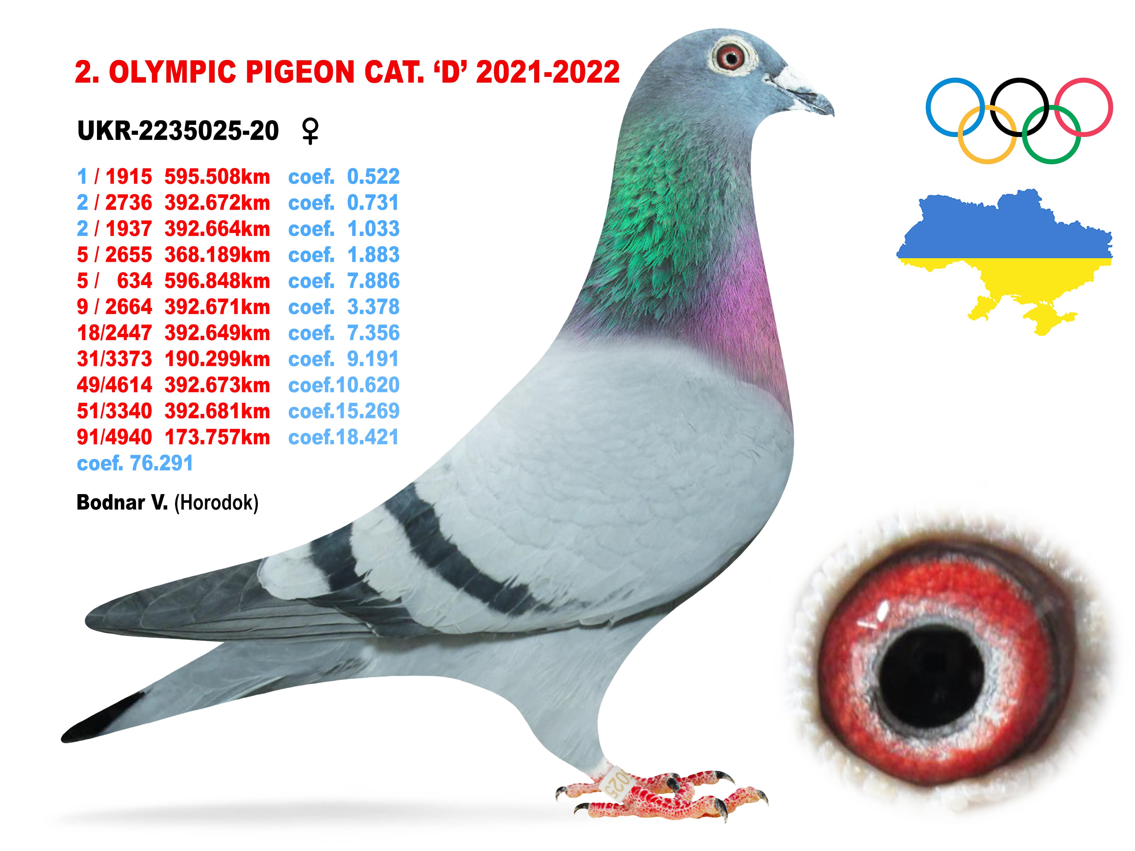 2022-D2